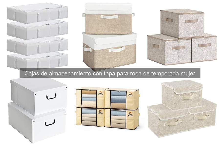 Alternativas a cajas de almacenamiento para ropa de temporada