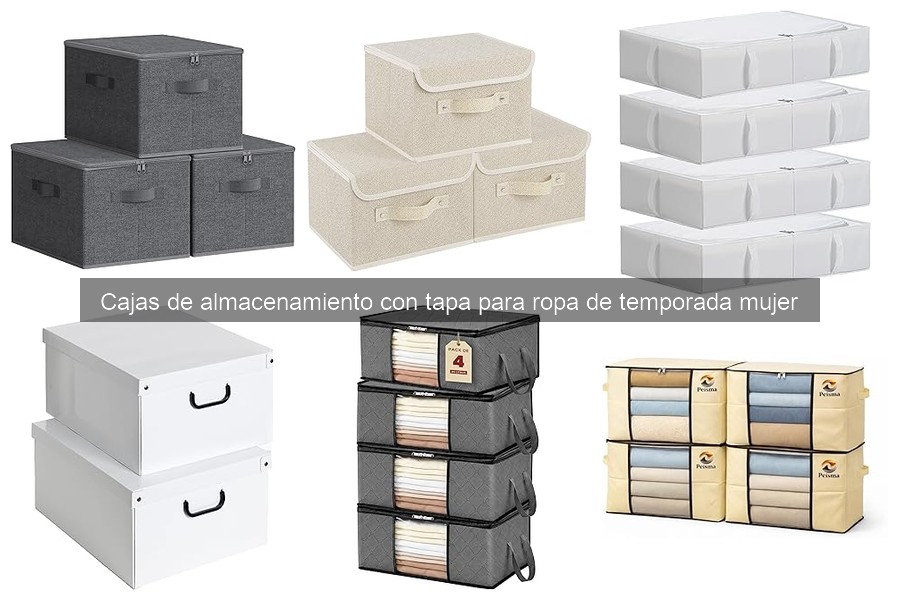 Cajas de almacenamiento con tapa para ropa de temporada mujer