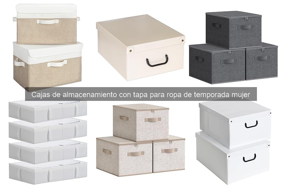Cómo cuidar cajas de almacenamiento con tapa para ropa