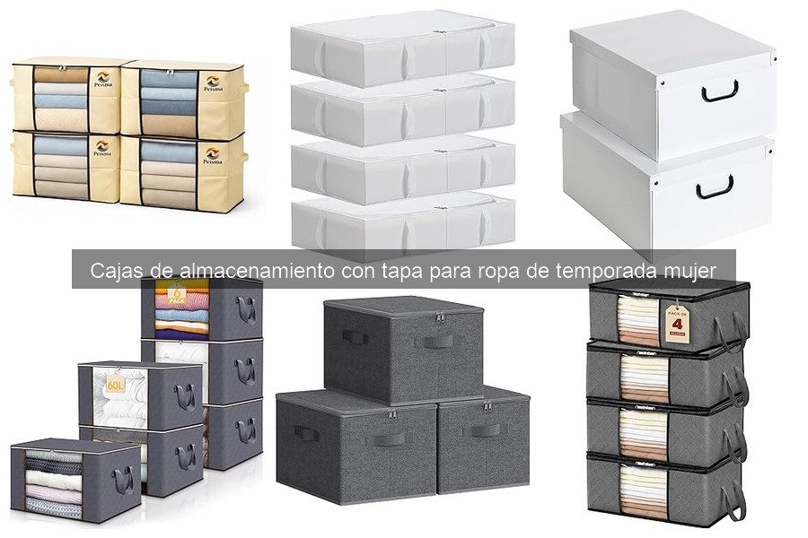 Cómo proteger la ropa de temporada con cajas de almacenamiento