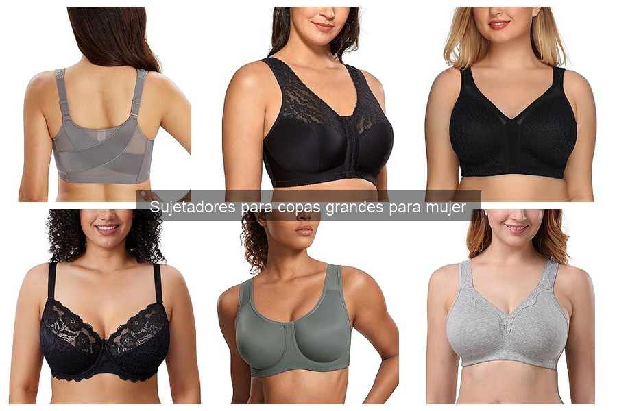 Comparativa de Sujetadores para Copas Grandes: Marcas y Precios