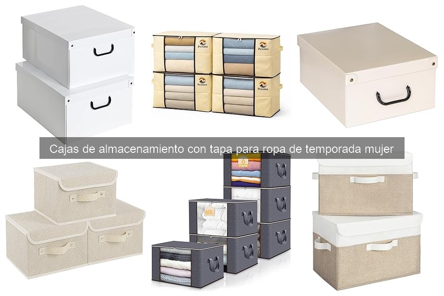 Guía de compra: cajas de almacenamiento con tapa para ropa