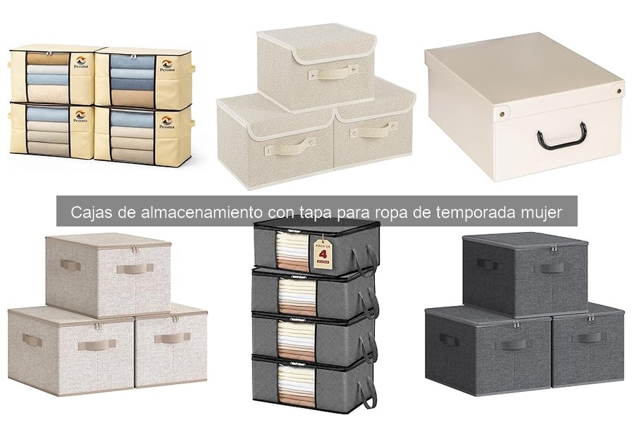 Mejores cajas de almacenamiento con tapa para ropa de temporada