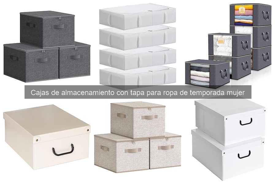 Mejores tiendas para comprar cajas de almacenamiento con tapa