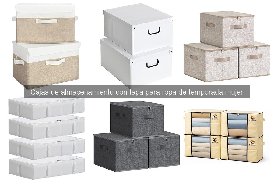 Opiniones sobre cajas de almacenamiento con tapa para ropa