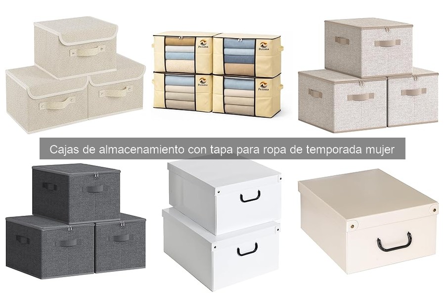 Organiza Tu Ropa de Temporada con Cajas de Almacenamiento