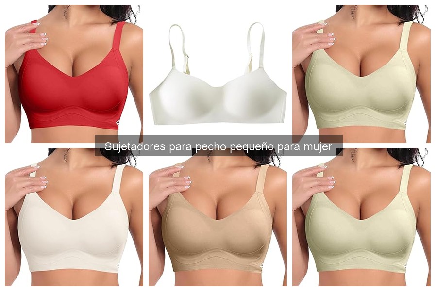 Reseñas de sujetadores populares para pecho pequeño