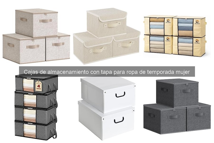 Tipos de cajas de almacenamiento con tapa para ropa de temporada