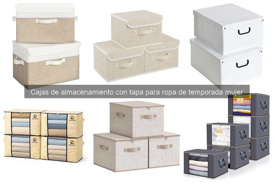 Ventajas y desventajas de cajas de almacenamiento para ropa